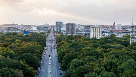 Tiergarten Berlin Vogelperspektive